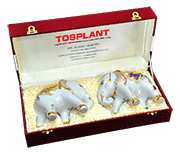 Tosplant Engineering (THAILAND)CO.,LTD.