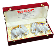 งาน Tosplant Engineering (THAILAND)CO.,LTD.